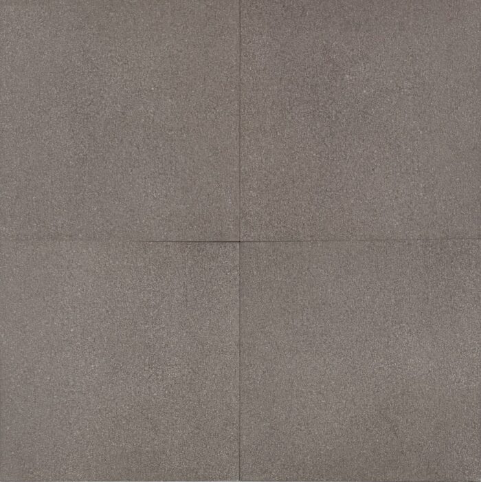 DINOSAUR BROWN R11 600x600mm - Image 2