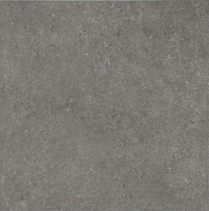 BELLE GREY-M (YZ16S56) - Image 1