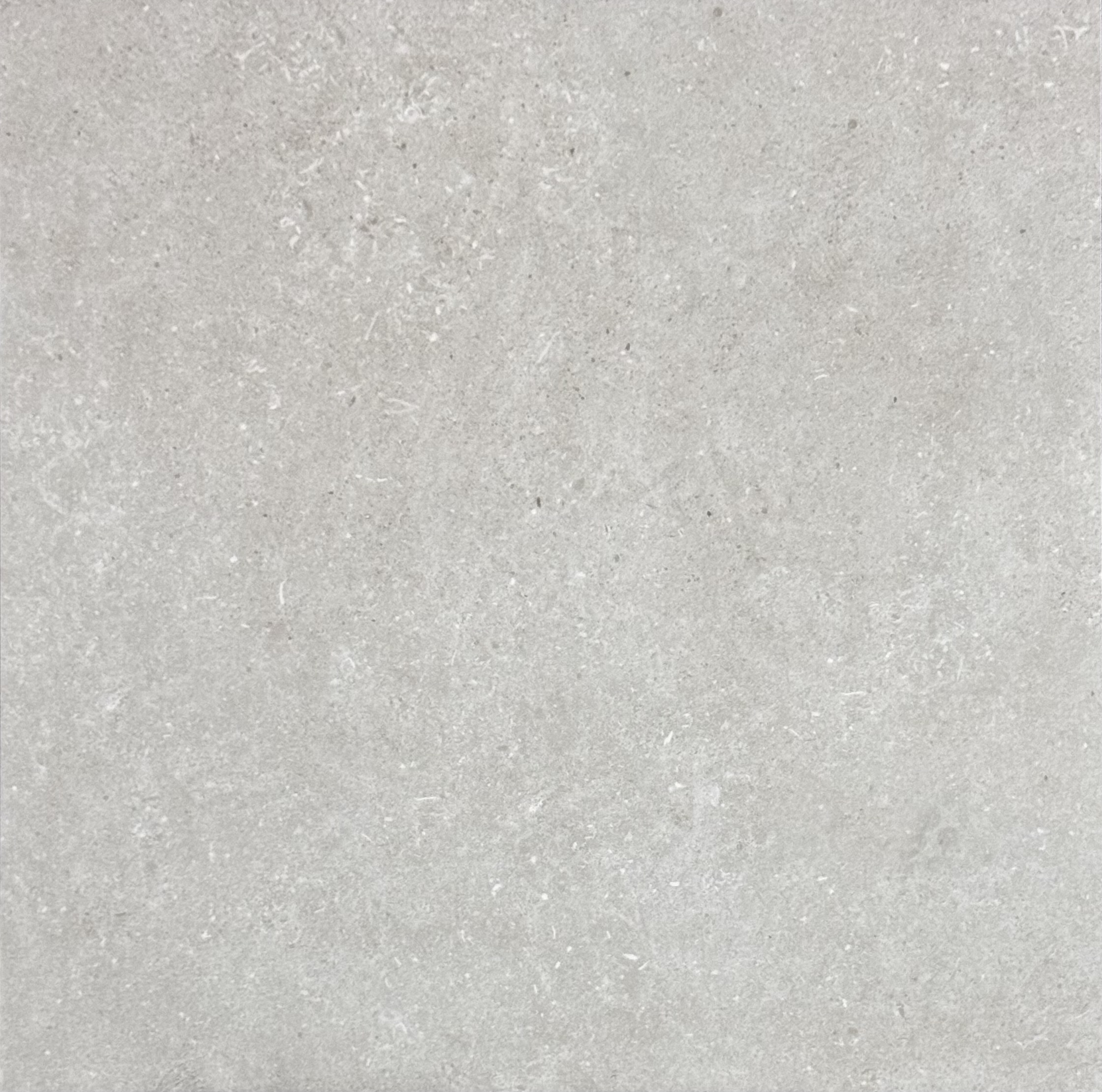 LAVASTONE BONE M_HT:CH-6656 LAVASTONE BONE R10 600x600mm - Image 1