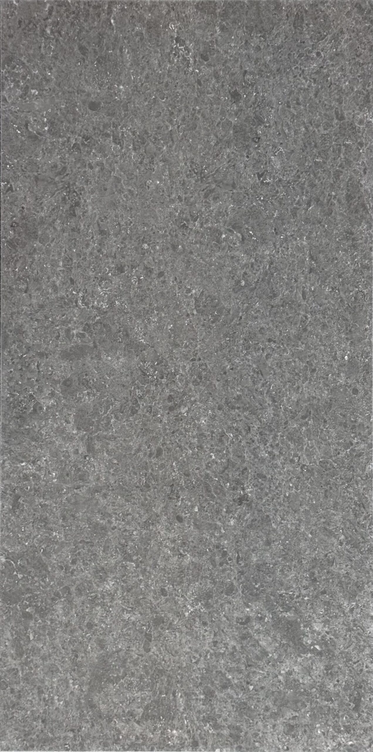 BABYLON CARBON P 600x1200mm_HT-CH-BABYLONCARBON P-612 BABYLON CARBON P 600x1200mm - Image 1